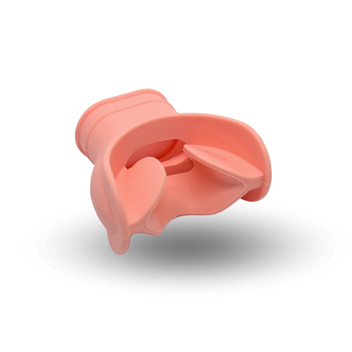 Regulator Diving Mouthpiece
