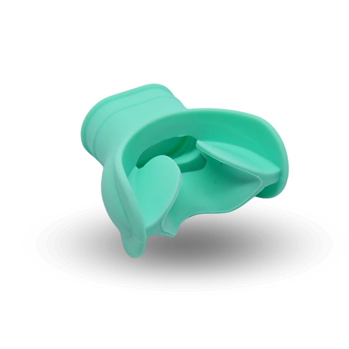 Regulator Diving Mouthpiece